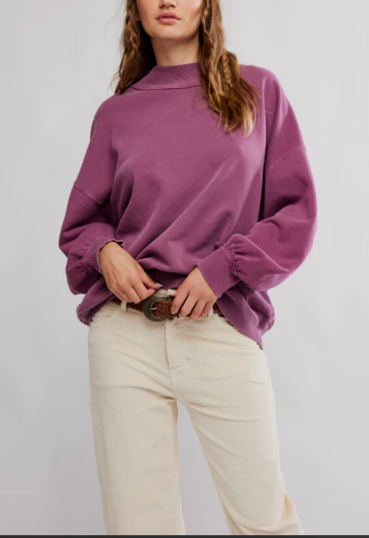 Palm Springs Turtle in Damson